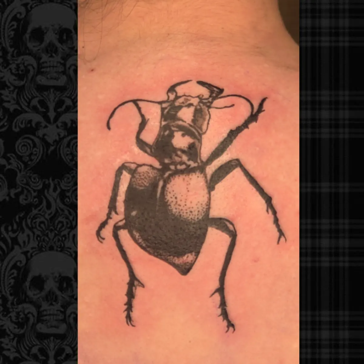Black and grey stag beetle tattoo with fine stipple shading on an arm