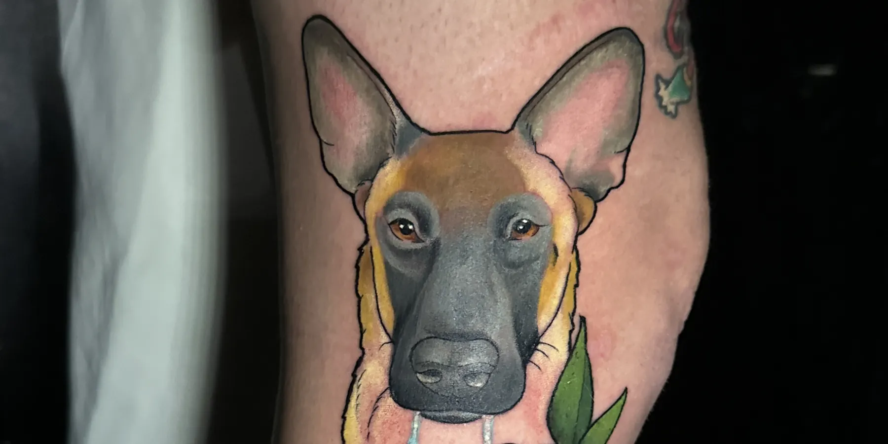 Neo-traditional dog portrait tattoo with a red flower, part of a color leg sleeve, tattooed at Blind Fox Tattoo in Amarillo, TX